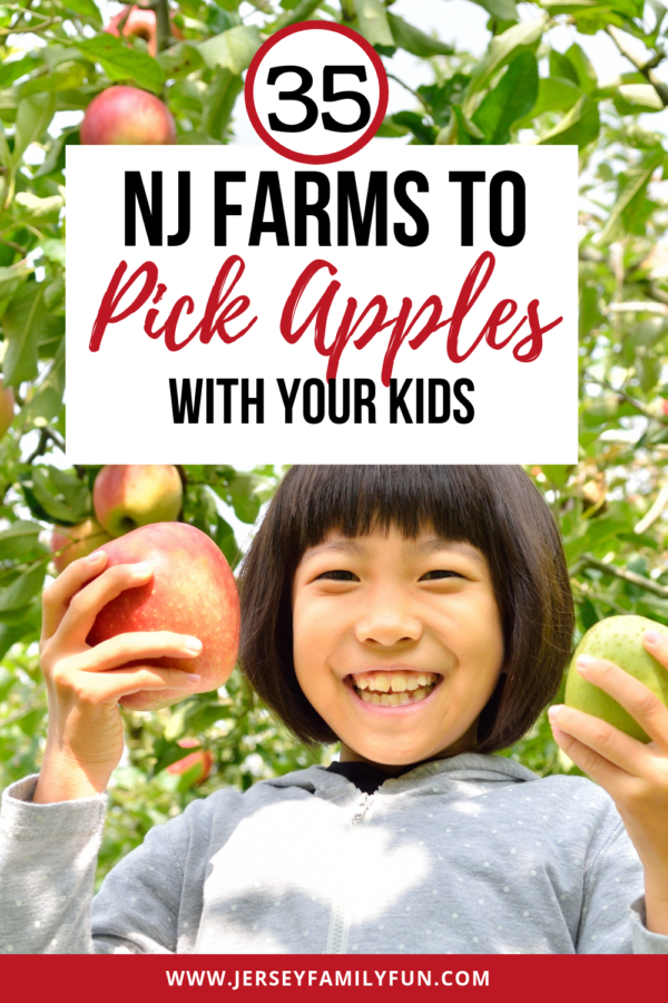 The Ultimate Guide to Apple Picking Season in NJ! Best Pick Your Own