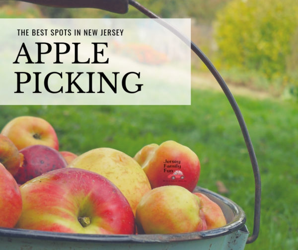 The Best Spots for New Jersey Apple Picking Jersey Family Fun