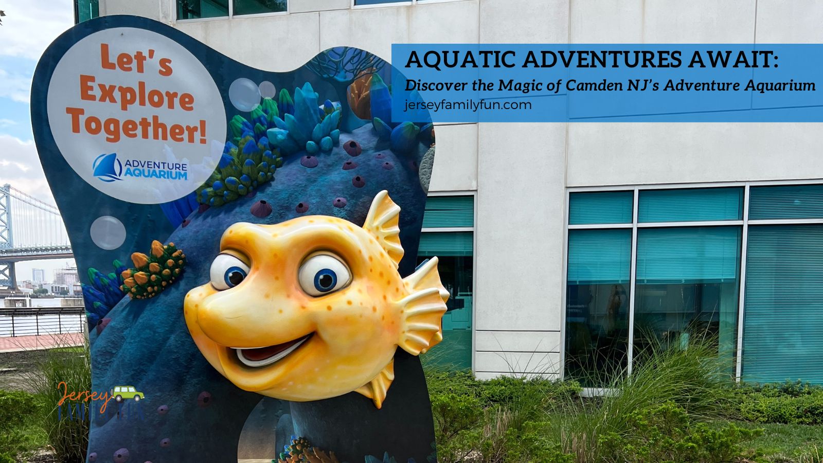 Shark Summer is back at the Camden Adventure Aquarium in 2023
